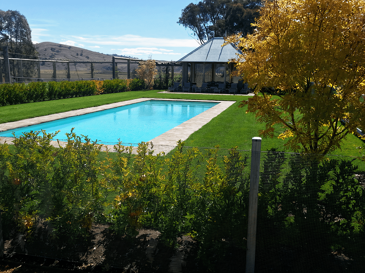 A lush garden bed and lawn surrounding an outdoor pool